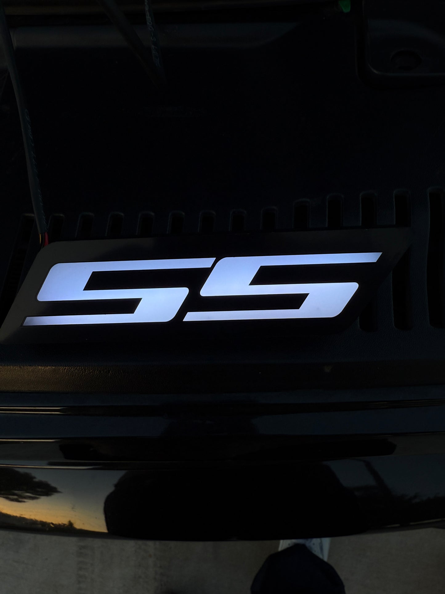 SS Emblem