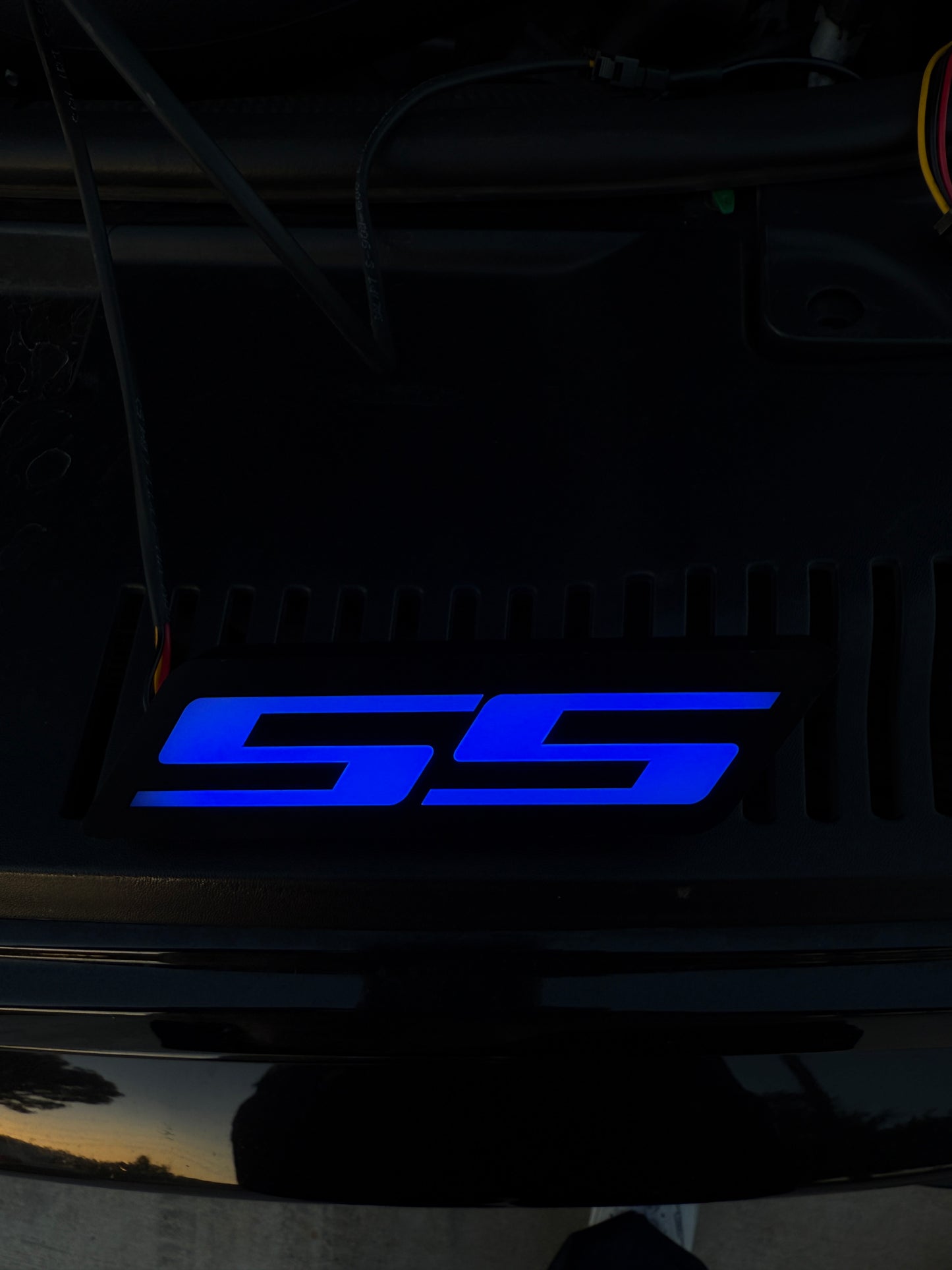 SS Emblem