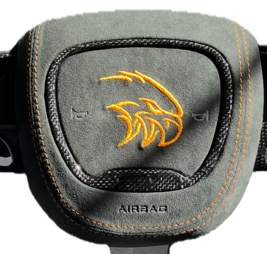2015+ Dodge- Custom Air Bag Cover