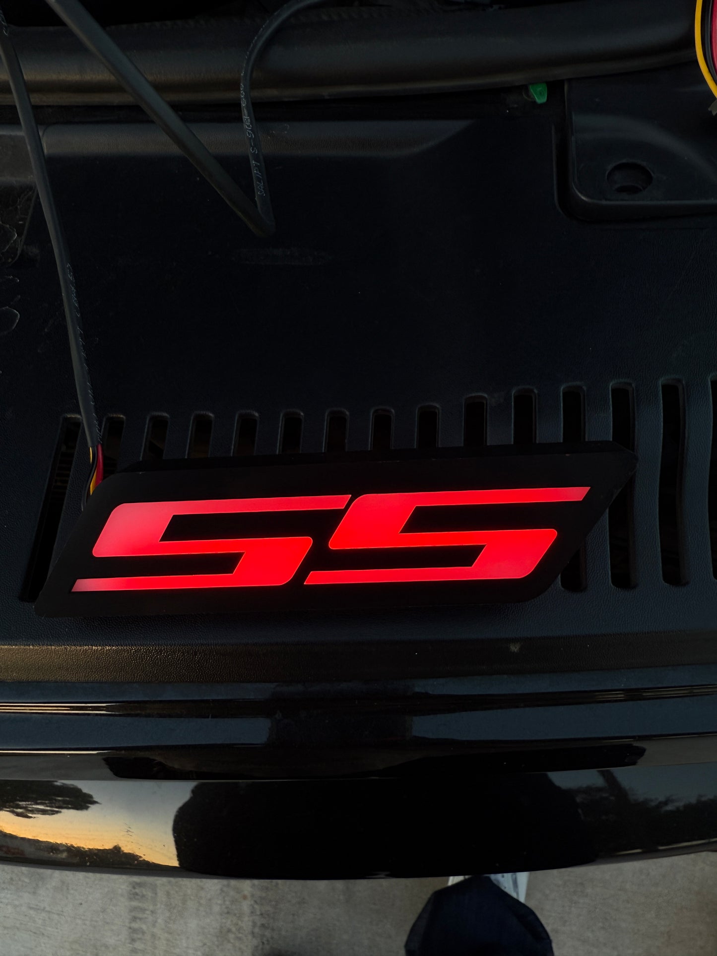 SS Emblem