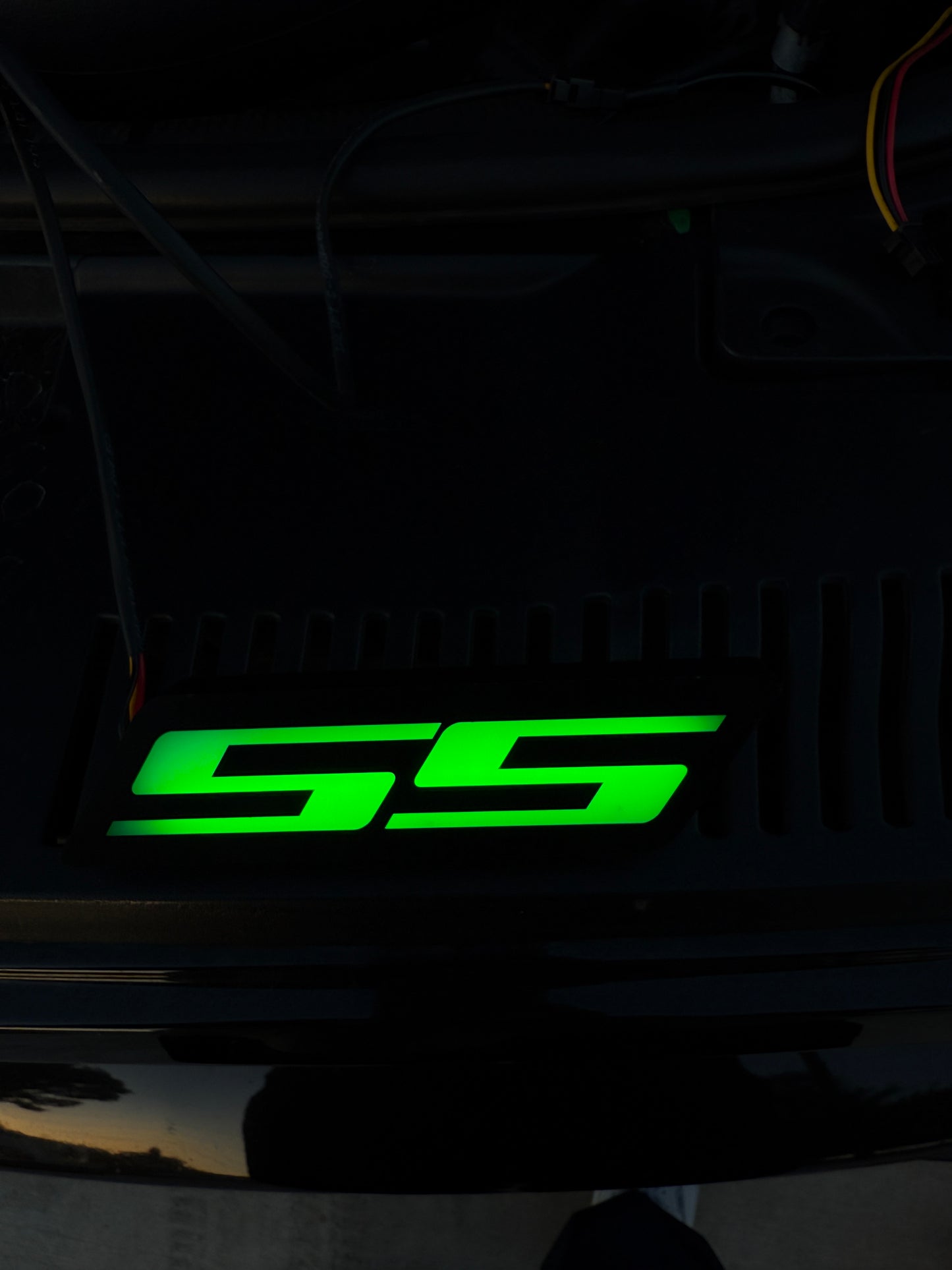SS Emblem