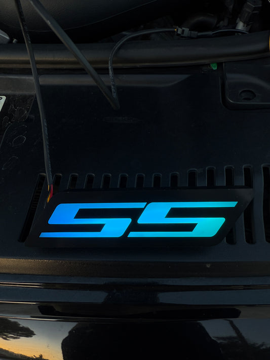 SS Emblem