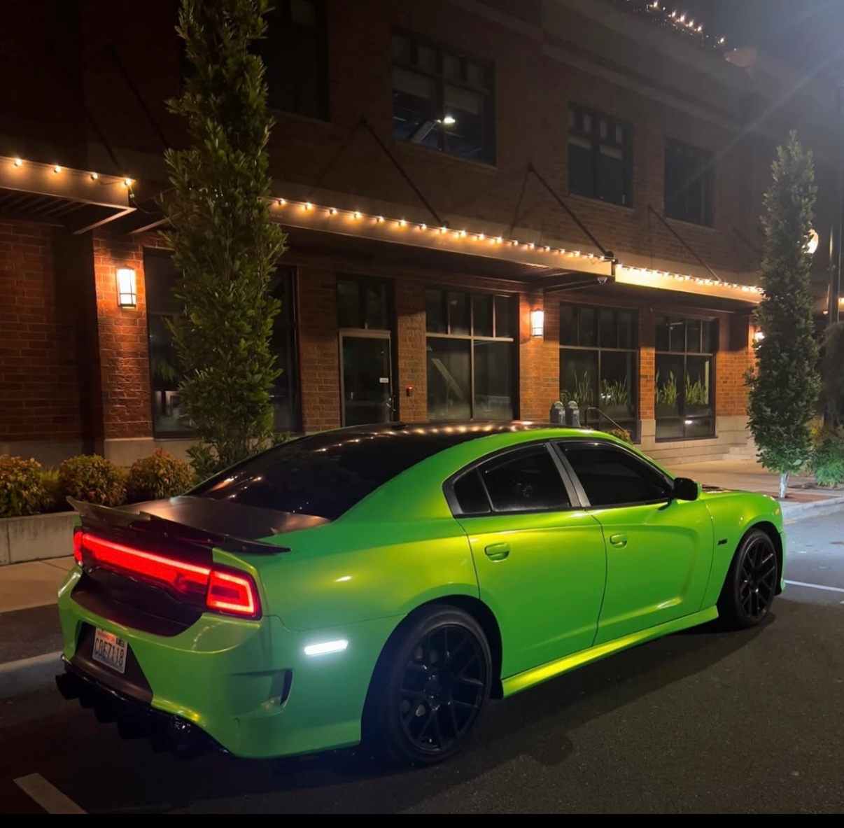 2011-2014 Dodge Charger White Dynamic Side Markers